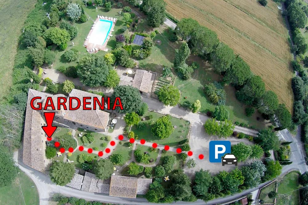 Location