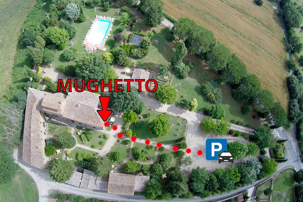Location