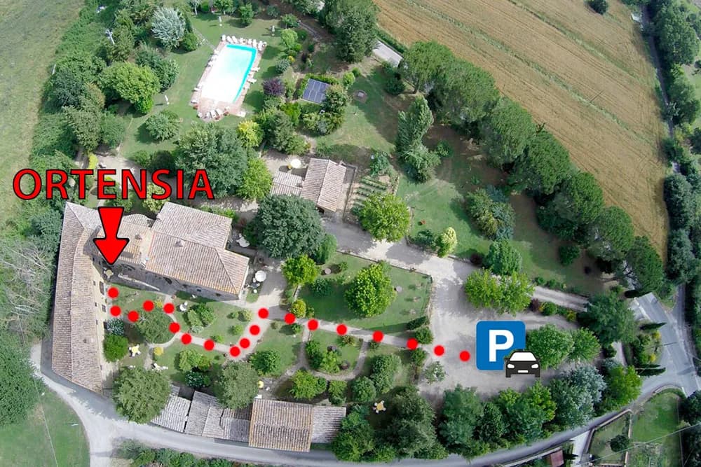 Location