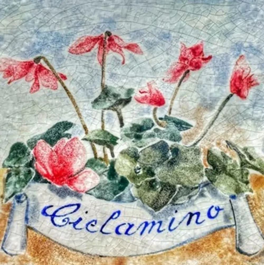 Ciclamino door